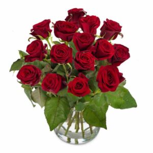 Roter Rosenstraus